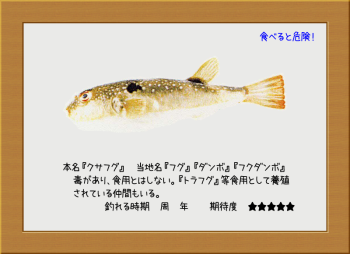 隠岐の島の魚【クサフグ】