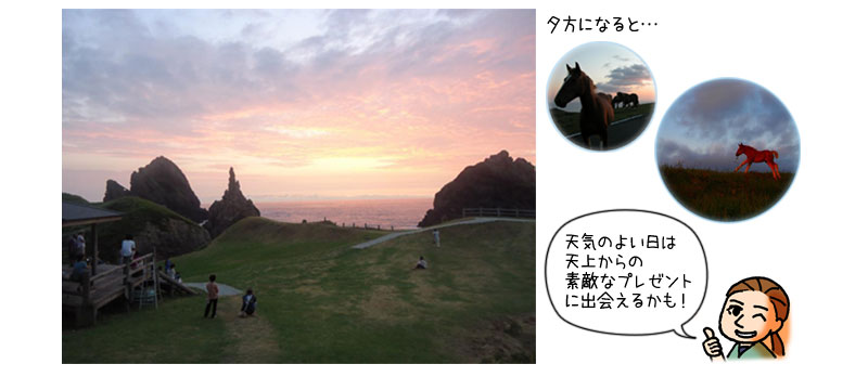 隠岐・西ノ島でみることのできる日本一の夕日